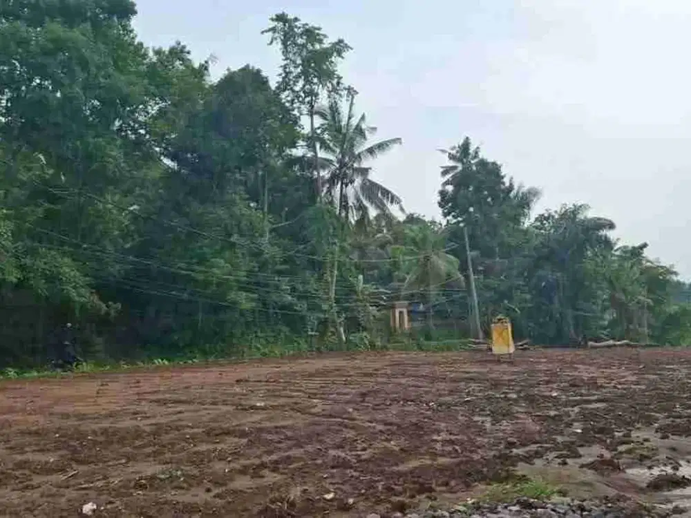 Lahan payogan ubud 3 are zona Kuning SHM ready lingkungan villa nyaman strategis - Thumbnail 4