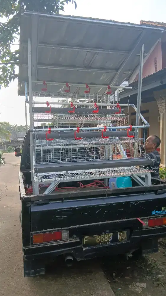 Kandang elektrik ayam petelur pintu 4 8 12