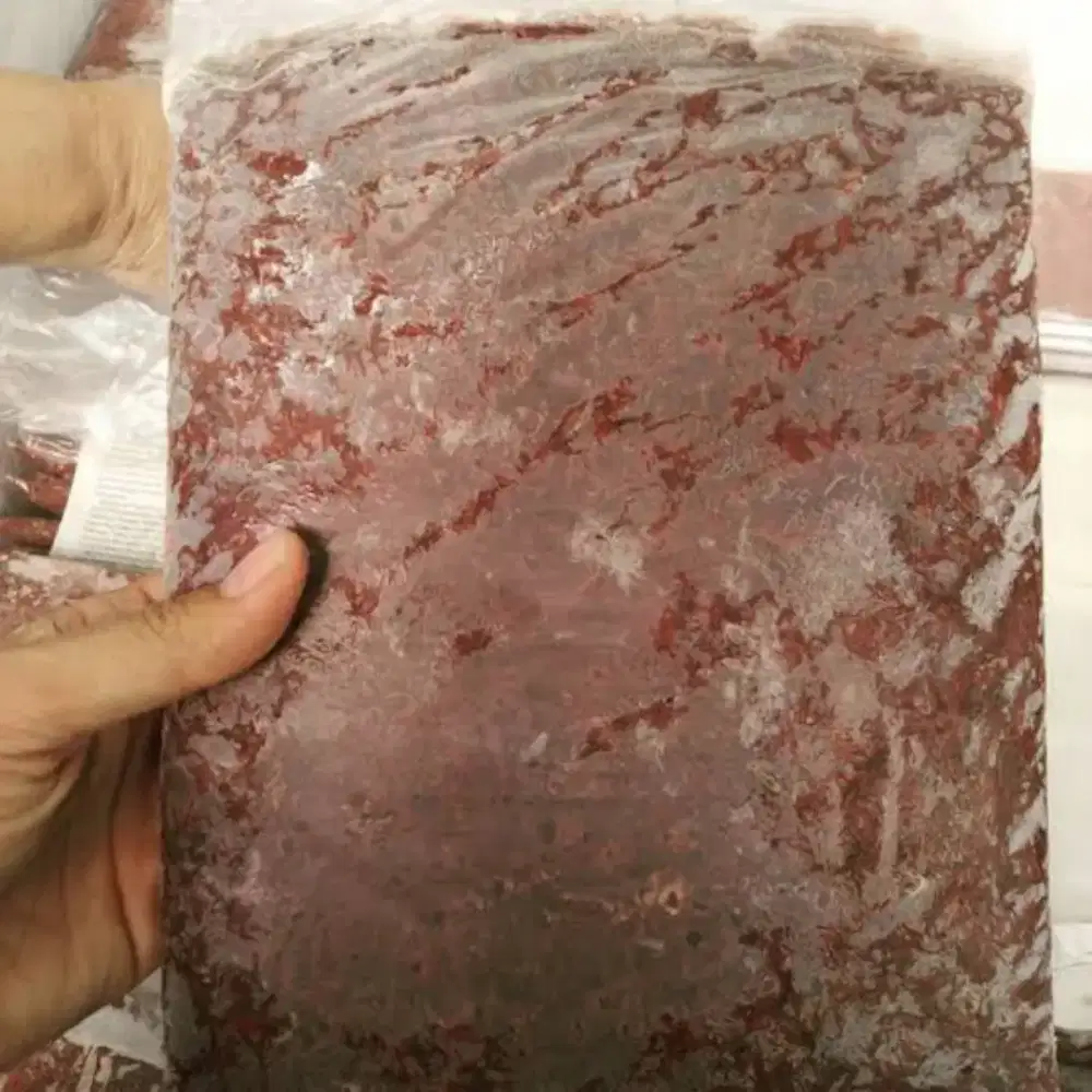 Cabek cacing beku frozen bloodworm pakan aneka hias