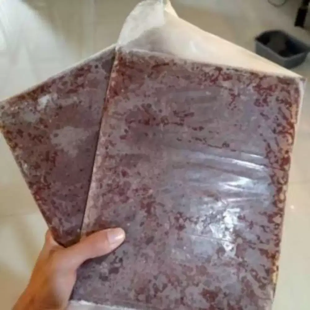 Cabek cacing beku frozen bloodworms pakan aneka ikan hias 1kg