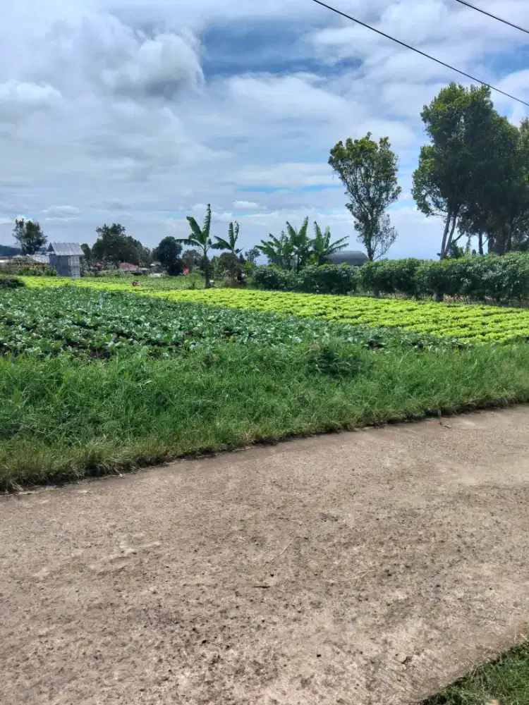 TANAH BANDUNG UTARA VIEW BANDUNG