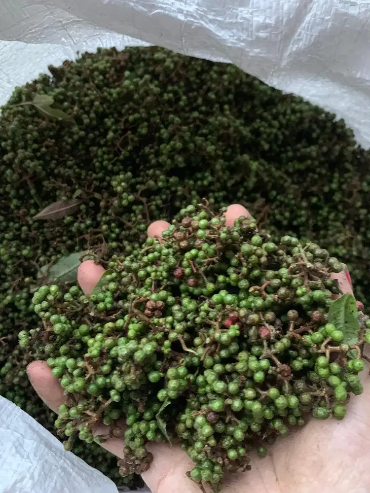 Andaliman asli Sidikalang