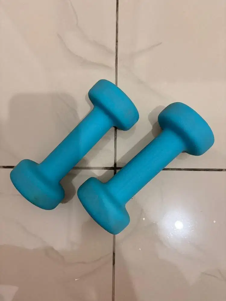 Dumbbell 1 Kg merk HAPPYFIT