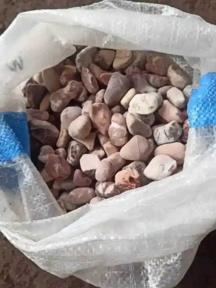 Jual,batu koral,ati ayam berat 10kg perkarung order