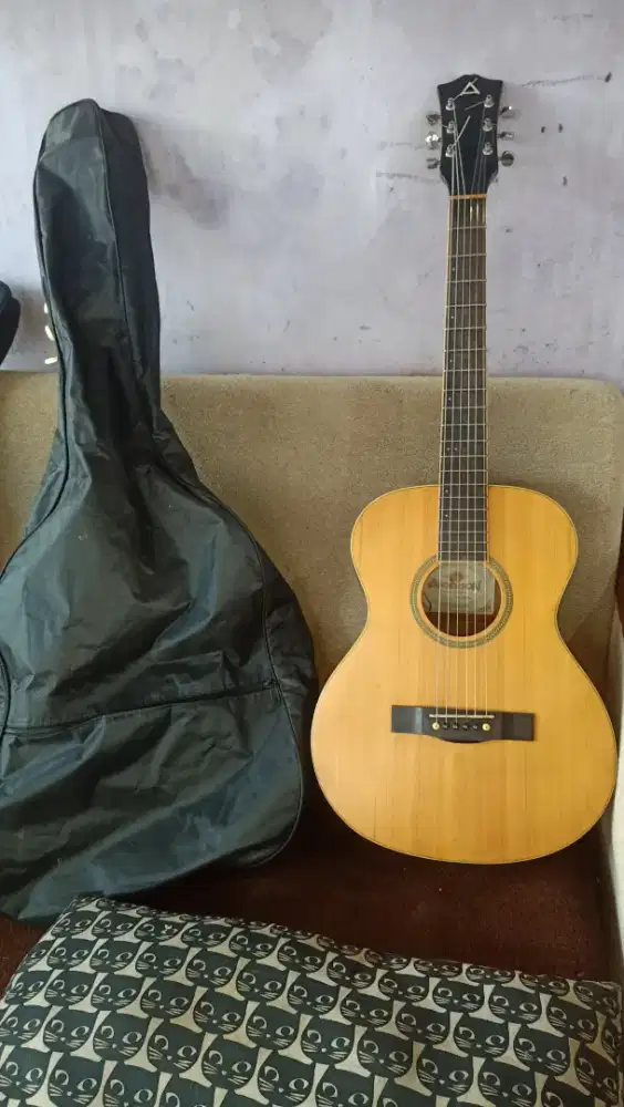 Gitar akustik elektrik Anderson ASE-10NAM original