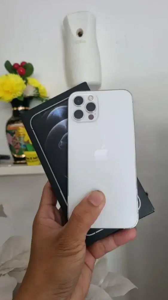 Iphone 12 Pro 128 Inter