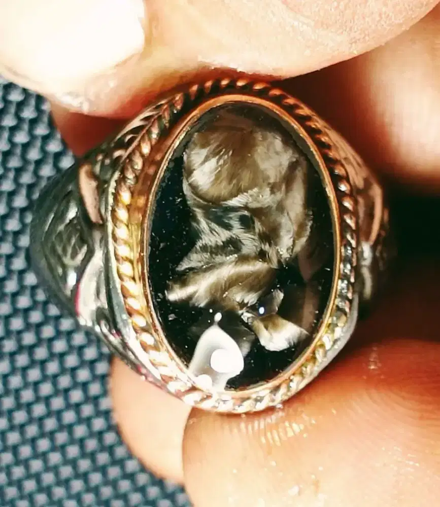 Natural Basaltic Glass  / Bulu Macan Lumajang