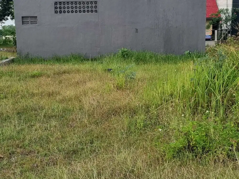 Dijual Cepat Tanah Taman Dayu Prigen Sebrang Warung Bakso Cak Pitung
