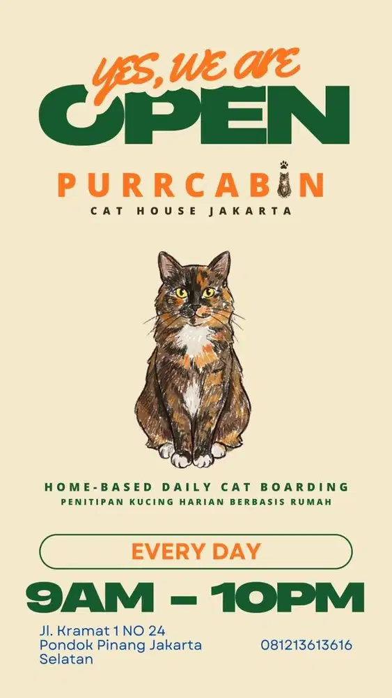 TITIP KUCING MURAH JAKARTA SELATAN