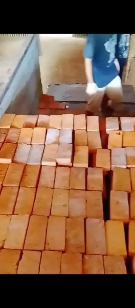 Produsen dan Supplier Bata Merah