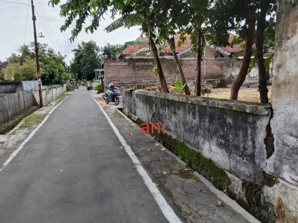 Jual tanah pekarangan lokasi bolon colomadu lt 448m hrg 1,6jt/m nego