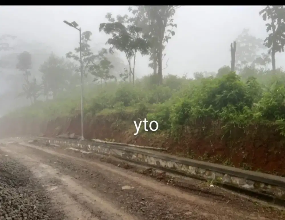 Jual tanah lokasi desa Jenawi sragen lt 1 Hektar harga 500jt nego