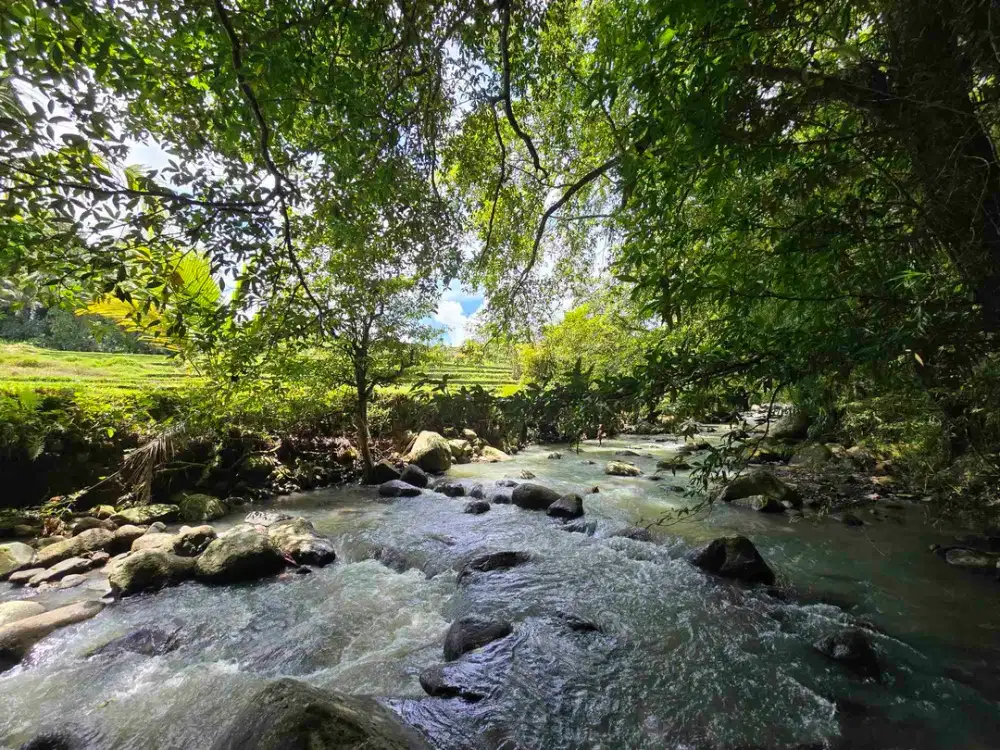dijual tanah murah los sungai dan view sawah di penebel tabanan bali