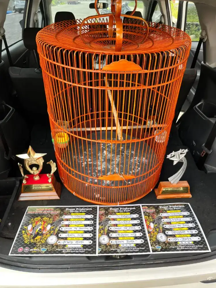 Murai batu prestasi materi mewah