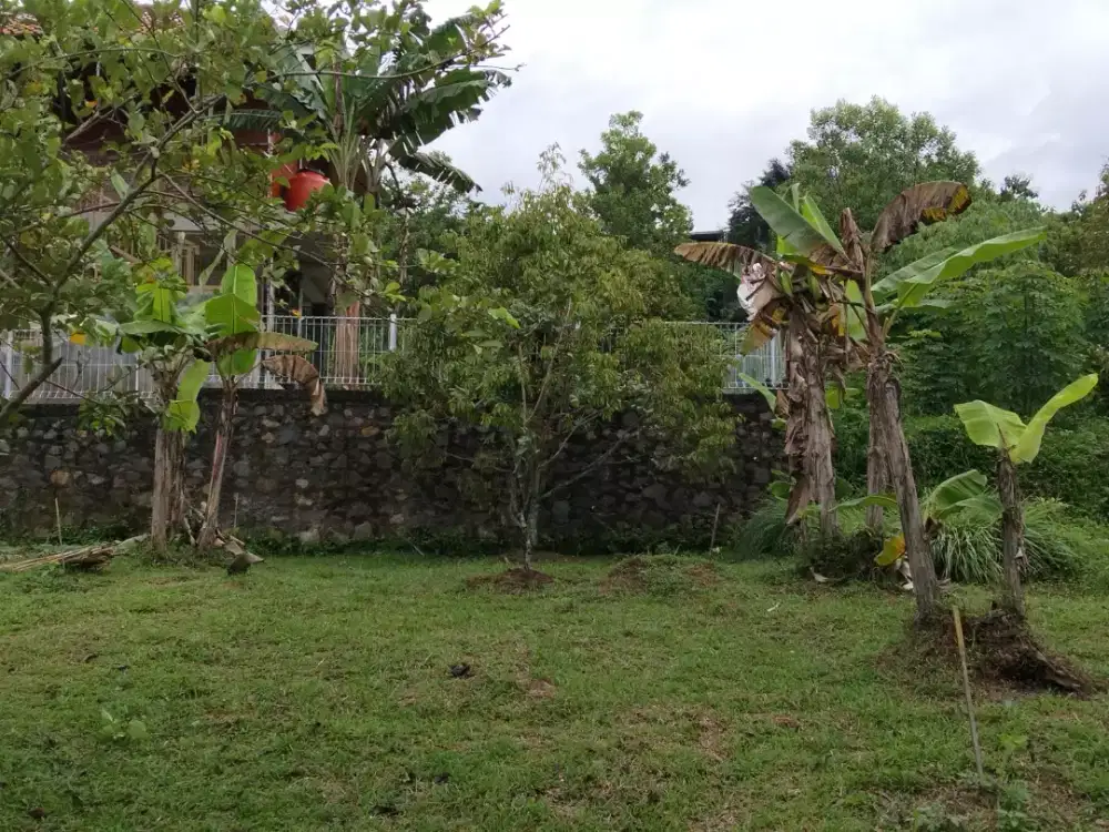Di Jual Tanah kebun daerah Cariu Sukamakmur