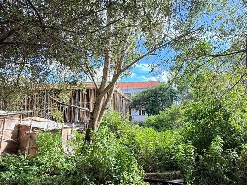 Dijual Tanah Luas Kecil – Kawasan Pasraman Unud, Jimbaran