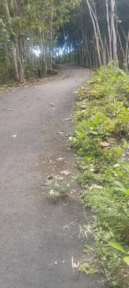 Di jual tanah pribadi