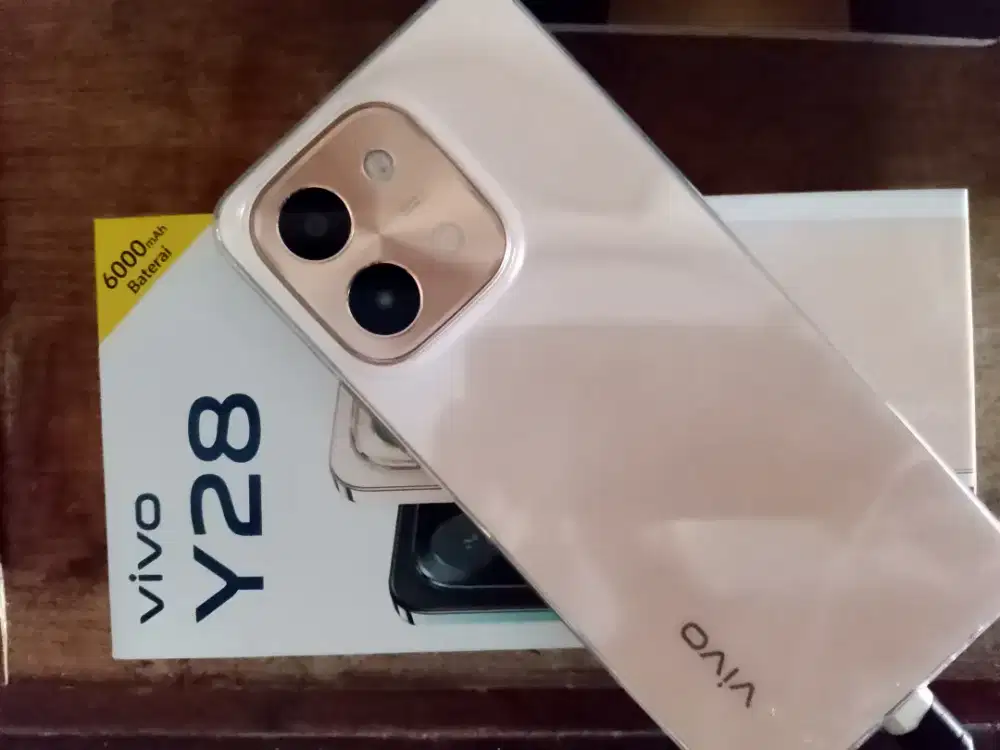 Vivo Y28 RAM 8/256
