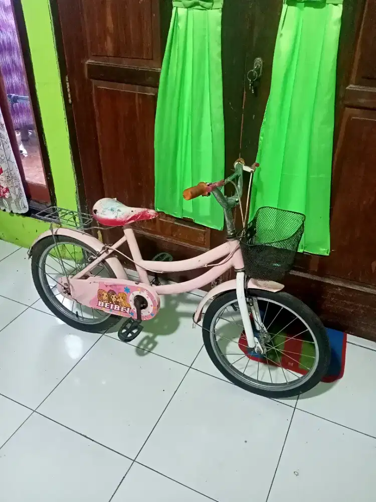 Sepeda anak r18