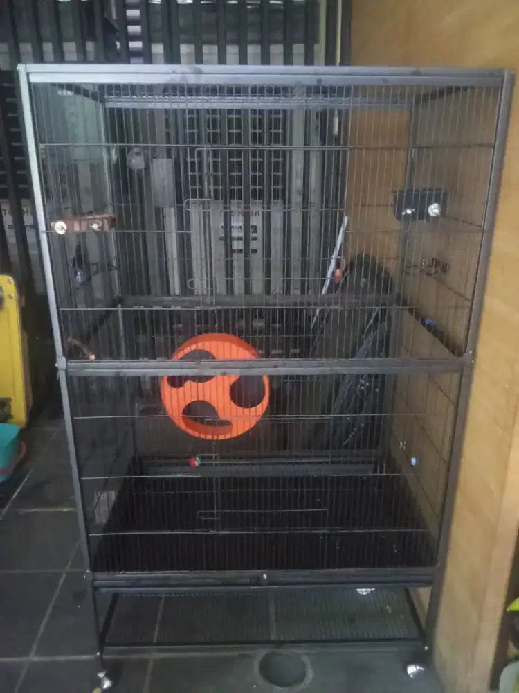 Kandang burung ,kucing