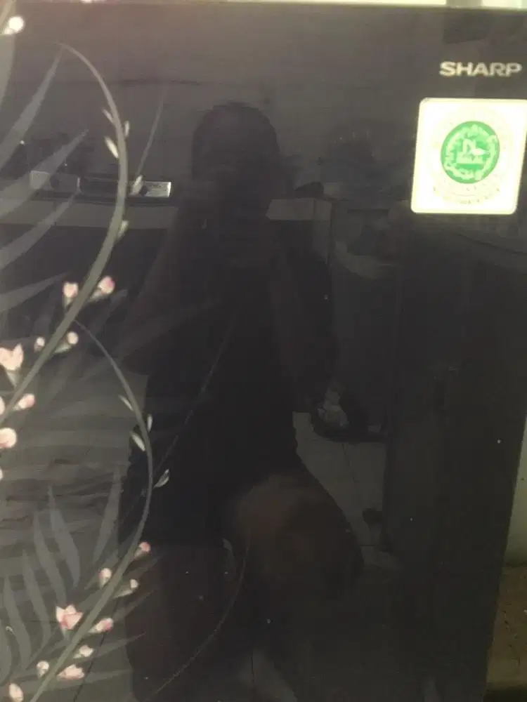 Kulkas Sharp 1 Pintu