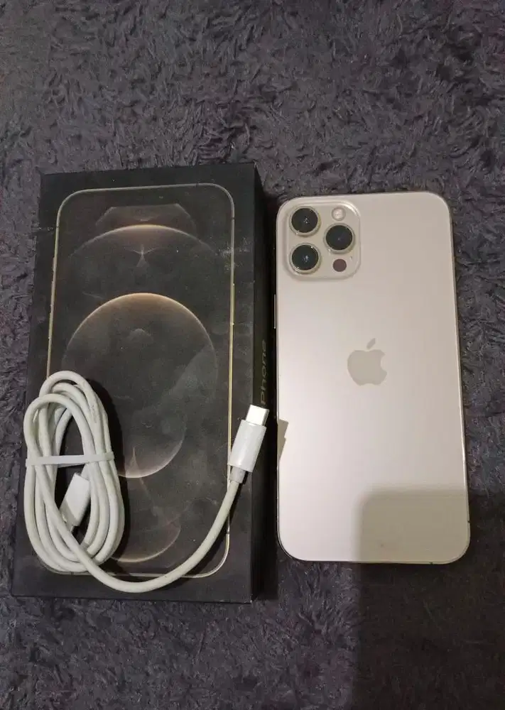 Iphone 12 Pro Max Muluss 100%