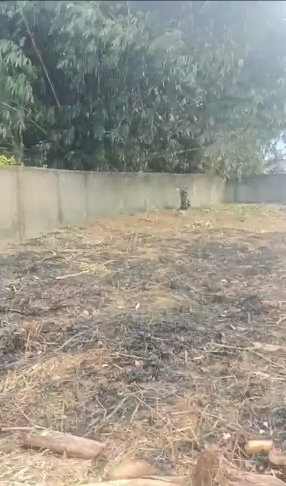 Dijual Tanah Milik Pribadi lingkungan aman,nyaman dan bebas banjir