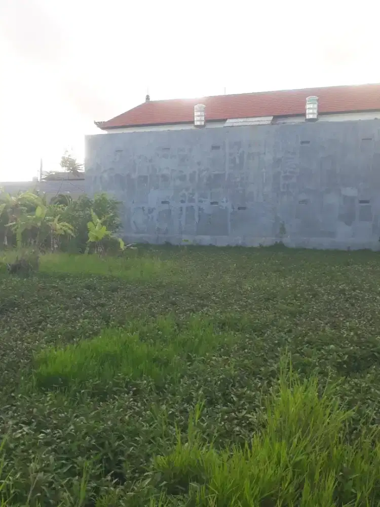 Tanah Langka 2 are Tukad Balian Renonn