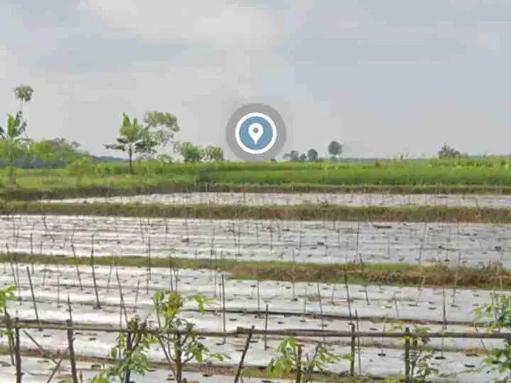 Jual Tanah Purwakarta