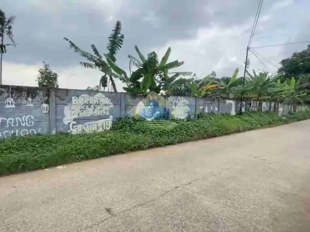 Disewakan Disewakan Tanah Di Desa Dangdang, Cisauk - Tangerang, Banten