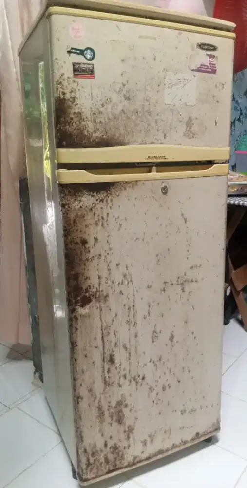 Jual kulkas Goldstar 2 pintu