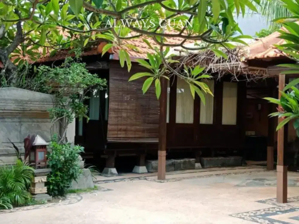 Rumah Ukuran Besar Area Sanur Dijuah Murah