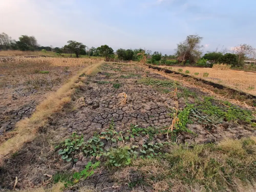 Dijual Lahan Bangkingan Lakarsantri