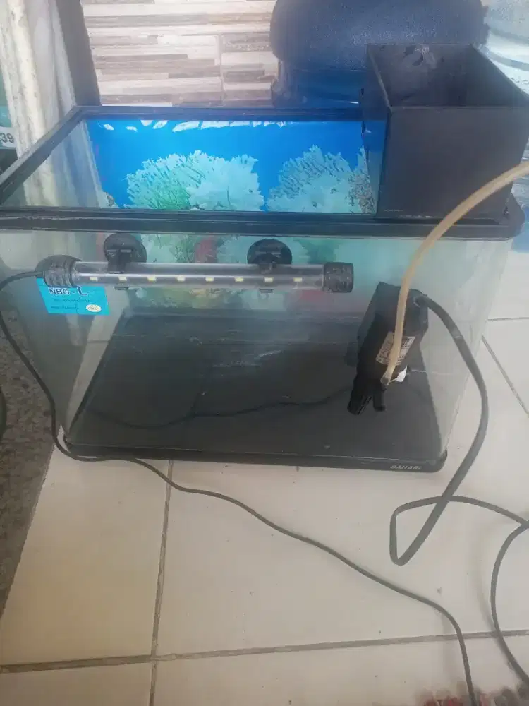 Aquarium satu set lengkap
