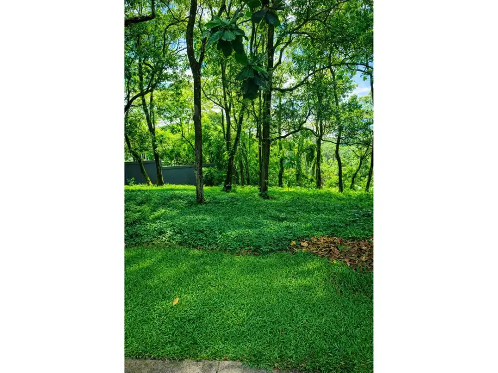 DIJUAL TANAH KAVLING PREMIUM BAGUS DAN STRATEGIS MURAH SENTUL CITY SSR982