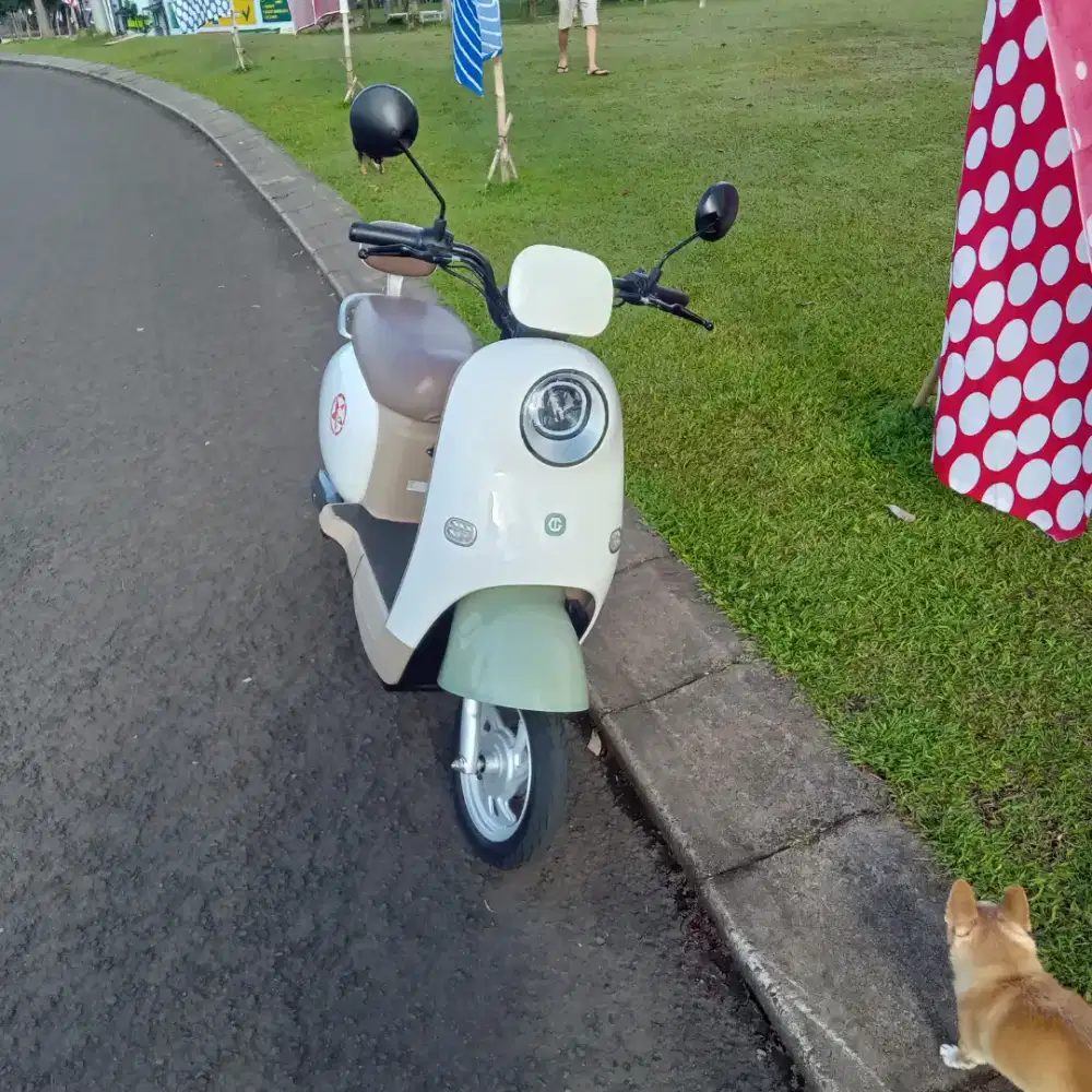 Goda MANGO 166 (listrik)