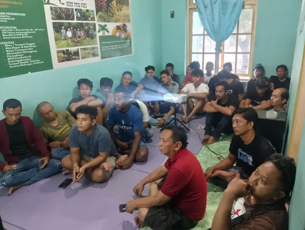 Lowongan Kerja Perkebunan Kelapa Sawit