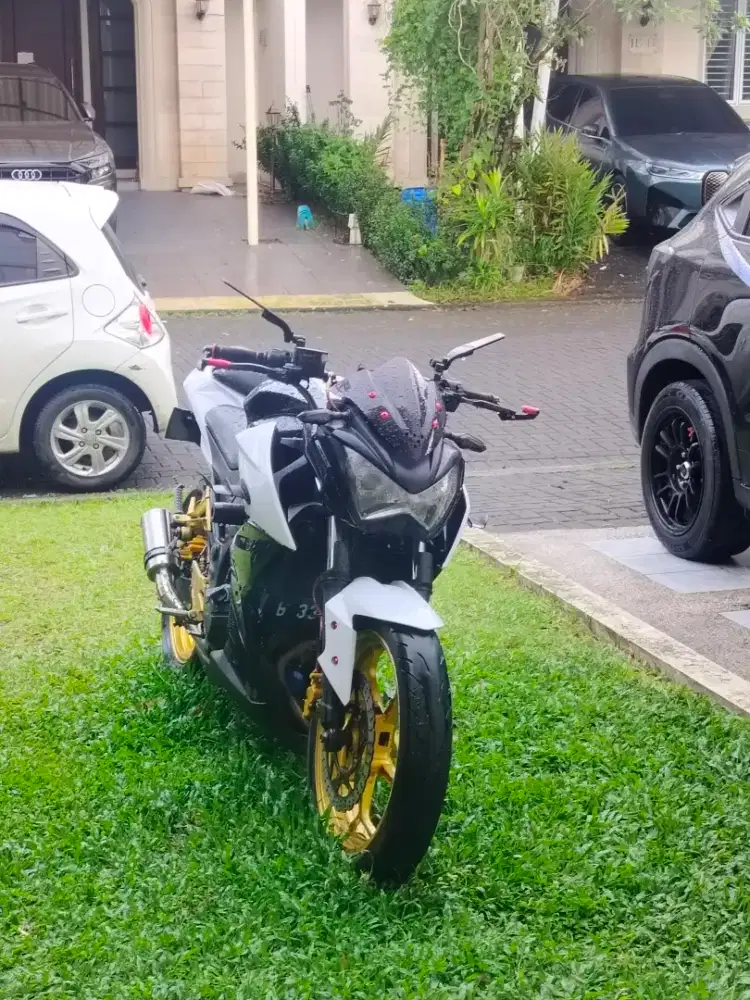 Kawasaki Ninja Z250 2013