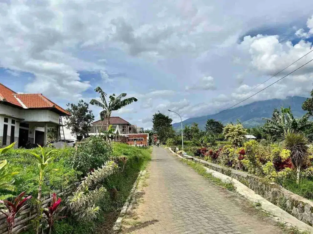 TANAH MURAH VIEW KOTA BATU