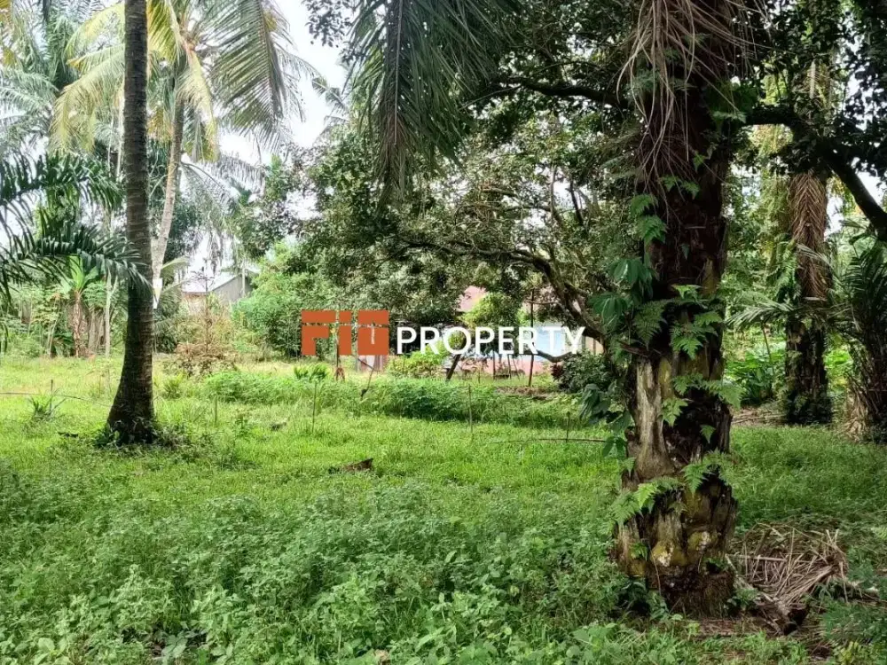 DI JUAL TANAH MEDAN BINJAI