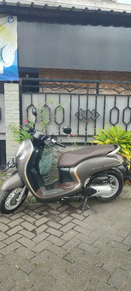 HONDA SCOOPY 2021