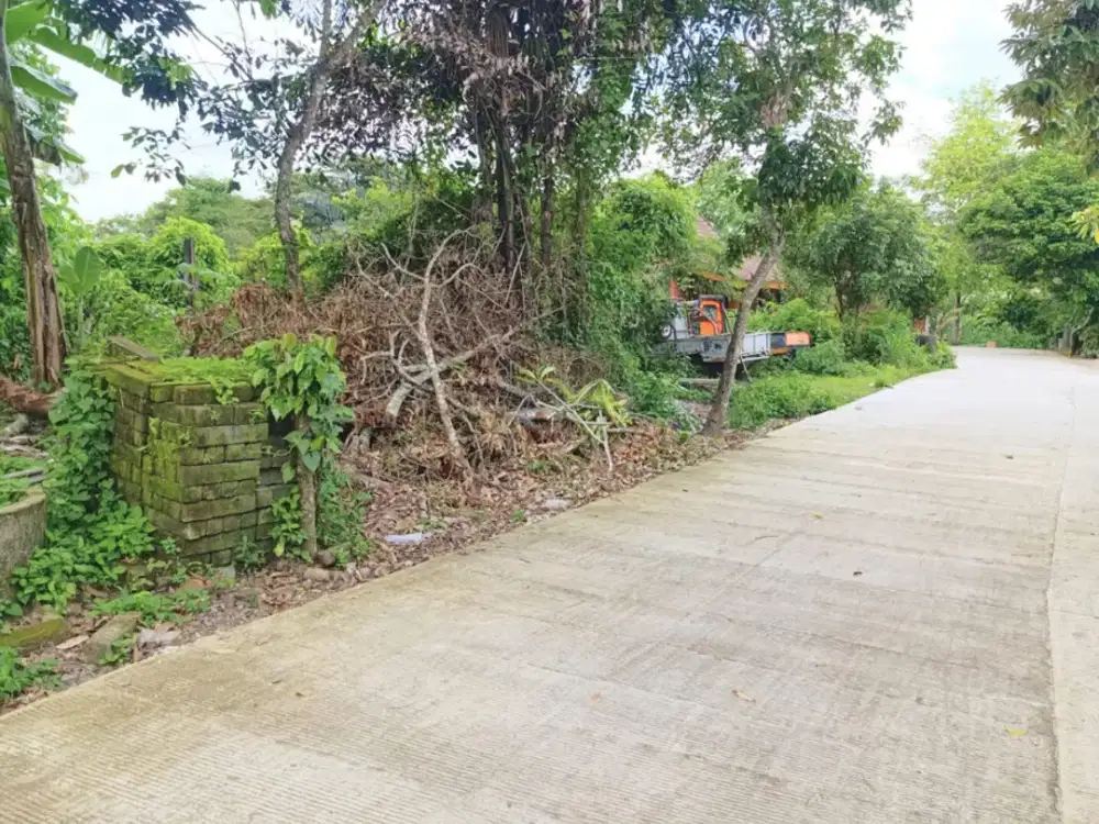 Tanah Jogja Strategis Dekat Jl. Pandanaran