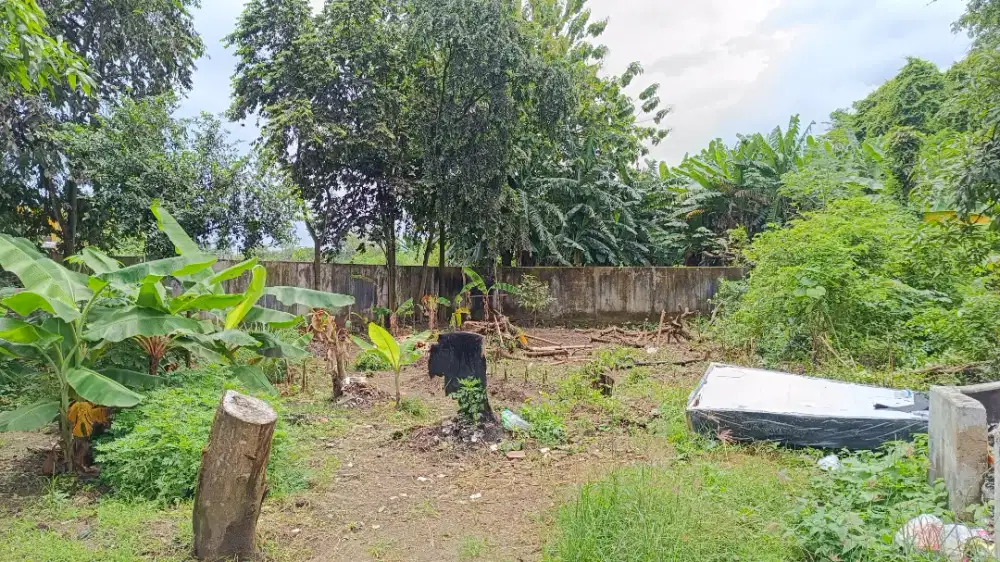 Tanah Luas ±300 m² – Lokasi Potensial, Harga Nego