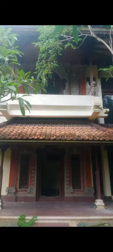 Dijual tanah murah,9.37 are di jln pakis aji dkt warmadewa denpasar