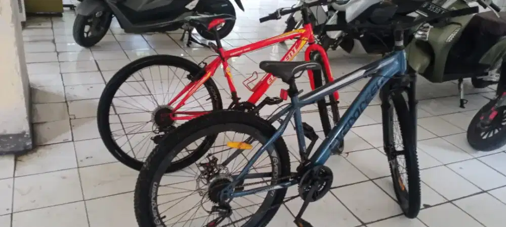 Sepeda gunung merek (MTB) Element