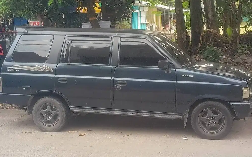 Panther 1996, rawatan sendiri