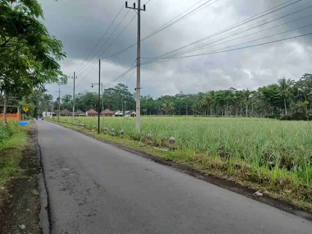 Tanah luas mangku jalan aspal luas 17500m Lebar depan 95meter SHM