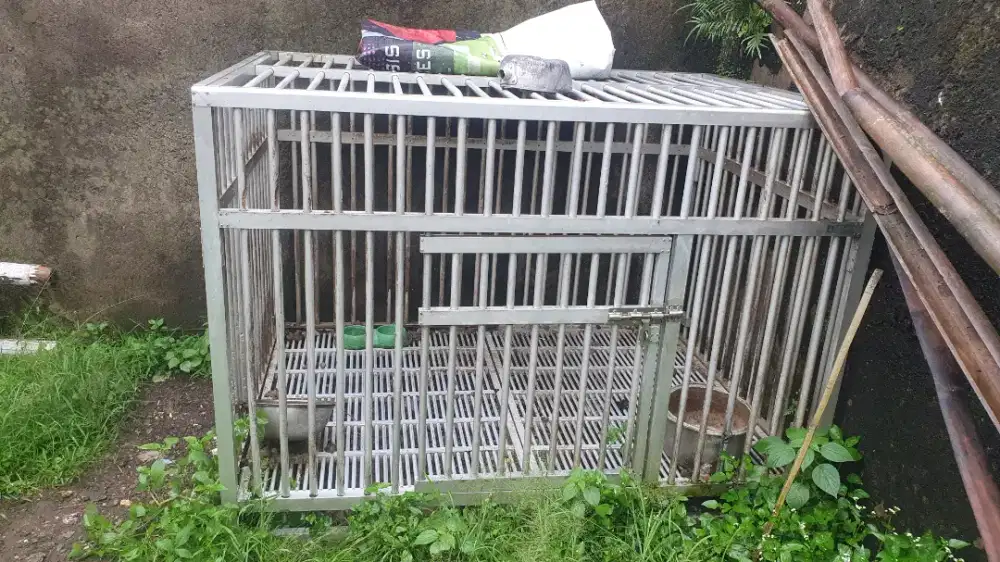 Kandang hewan, kandang anjing alumuniun, kandang alumunium jumbo kokoh