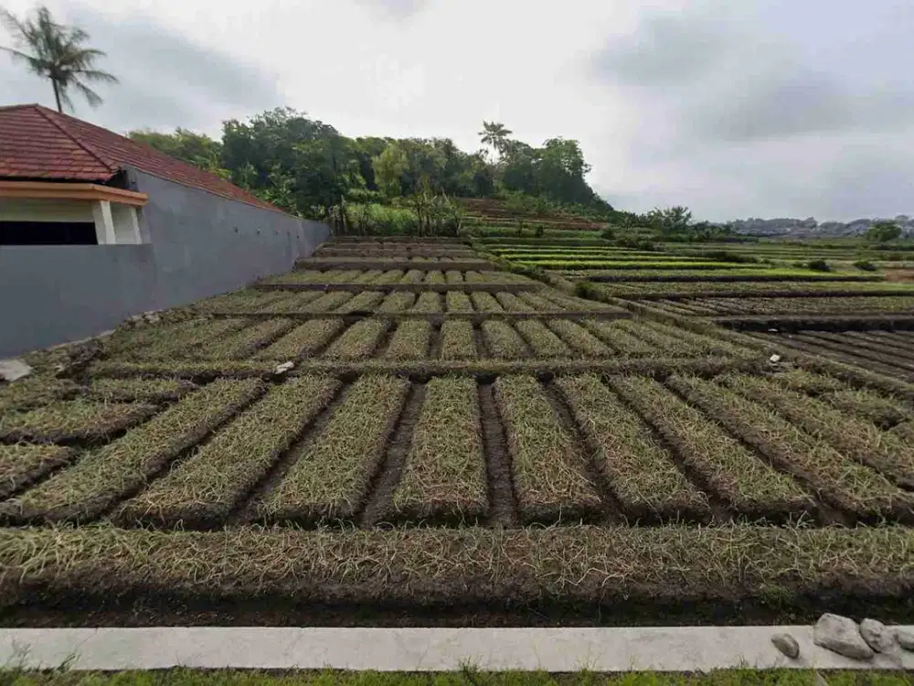 TANAH LOKASI TEMAS KOTA BATU