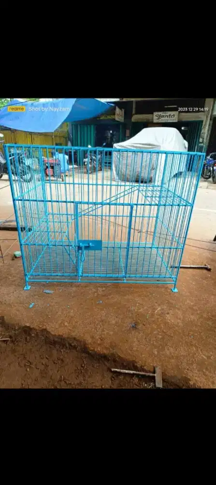 Kandang kucing dan kandang anjing